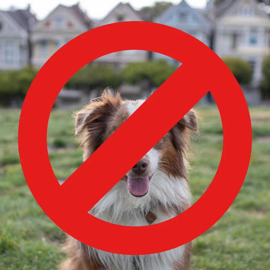 A dog with a red no-entry symbol overlaid